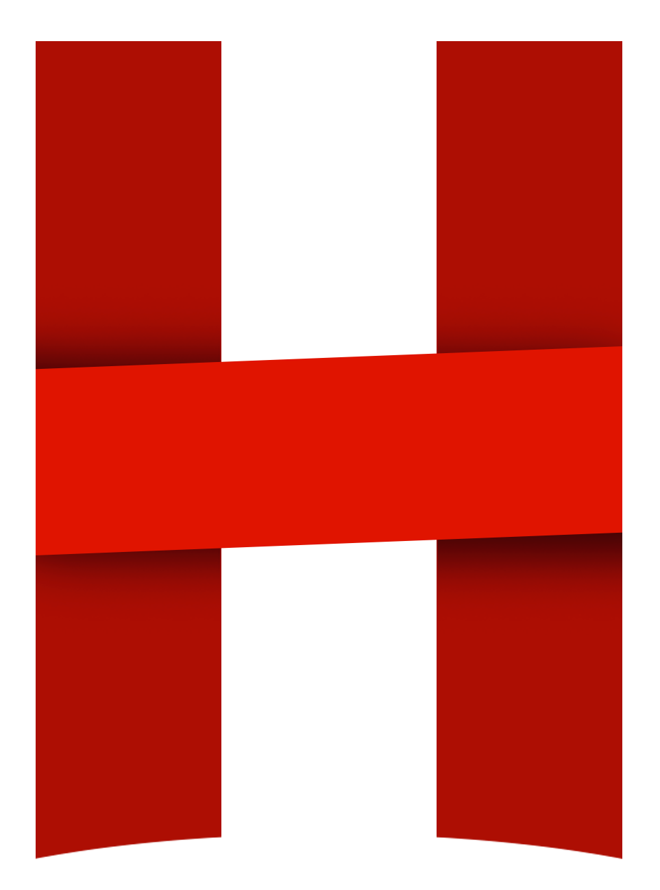 Logo-HolzerSerie