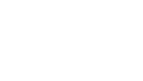Holzer.png